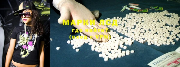 ECSTASY Богданович